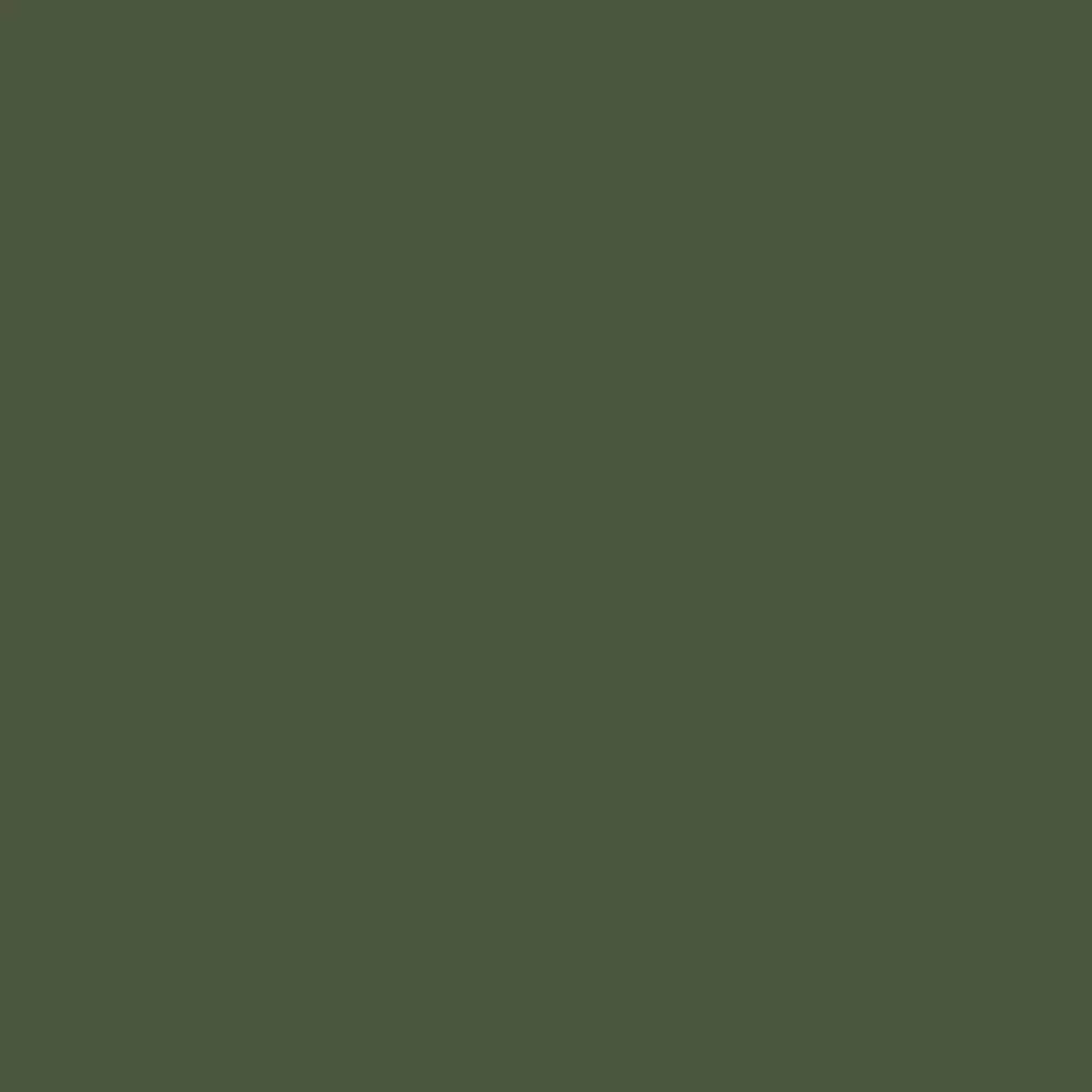 RAL 6003 Olivgrün haustueren tuerfarben ral-farben ral-6003-olivgruen texture