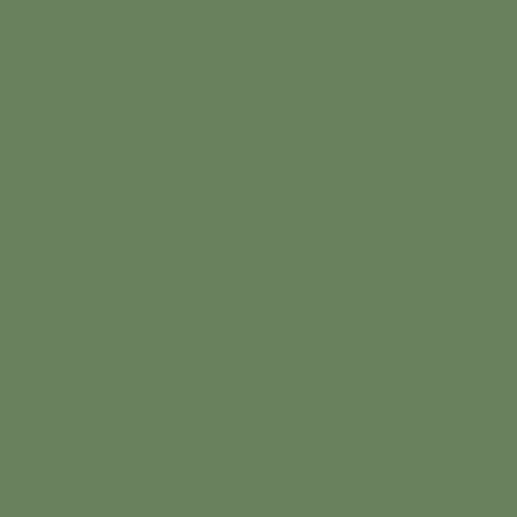 RAL 6011 Resedagrün haustueren tuerfarben ral-farben ral-6011-resedagruen texture