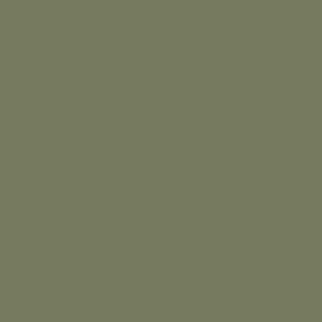 RAL 6013 Schilfgrün haustueren tuerfarben ral-farben ral-6013-schilfgruen texture