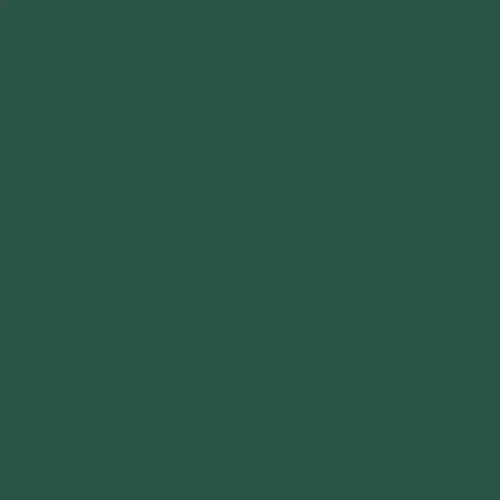 RAL 6028 Kieferngrün haustueren tuerfarben ral-farben ral-6028-kieferngruen texture