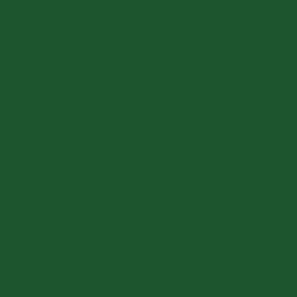 RAL 6035 Perlgrün haustueren tuerfarben ral-farben ral-6035-perlgruen texture