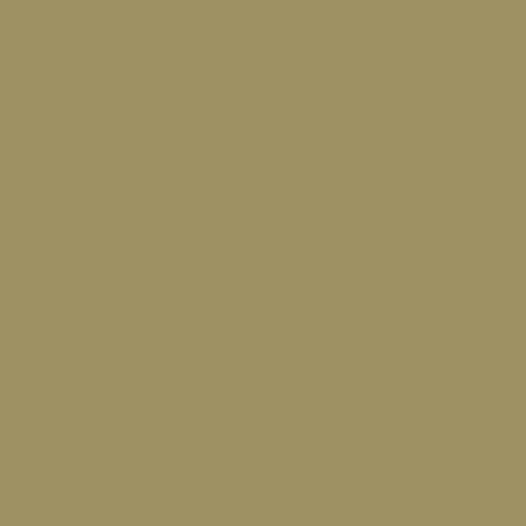 RAL 1020 Olivgelb haustueren tuerfarben ral-farben ral-1020-olivgelb texture