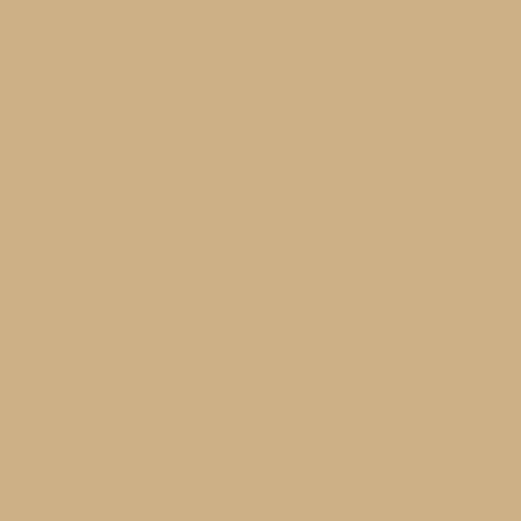 RAL 1001 Beige haustueren tuerfarben ral-farben ral-1001-beige texture