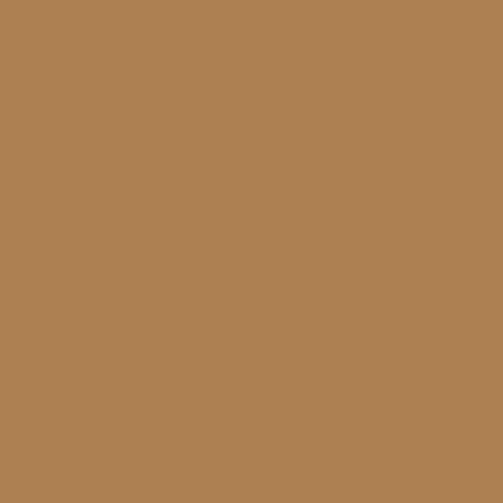 RAL 1011 Braunbeige haustueren tuerfarben ral-farben ral-1011-braunbeige texture