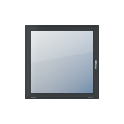 Einflügelige Fenster      