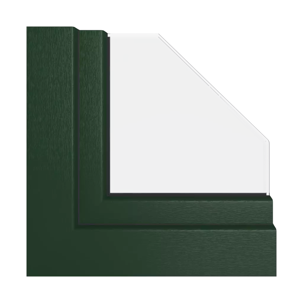 Grün RAL 6009 produkte pvc-fenster    